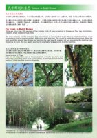 61_Nature